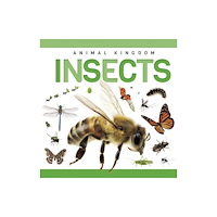 North Star Editions Insects (inbunden, eng)