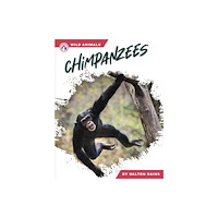 North Star Editions Chimpanzees (inbunden, eng)