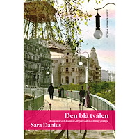 Sara Danius Den blå tvålen : romanen och konsten att göra saker och ting synliga (bok, flexband)