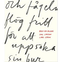 Lars Lerin Och fågeln flög fritt för att uppsöka sin bur : brev och bilder (bok, halvklotband)