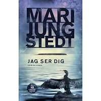Mari Jungstedt Jag ser dig (inbunden)