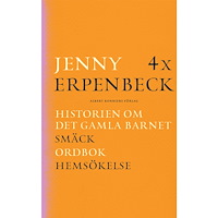 Jenny Erpenbeck 4 x Erpenbeck : Historien om det gamla barnet; Smäck; Ordbok; Hemsökelse (bok, kartonnage)