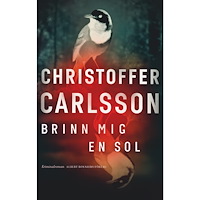 Christoffer Carlsson Brinn mig en sol (inbunden)