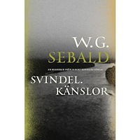 W. G. Sebald Svindel. Känslor (bok, danskt band)