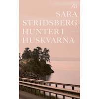Sara Stridsberg Hunter i Huskvarna (pocket)