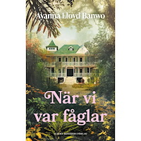 Ayanna Lloyd Banwo När vi var fåglar (inbunden)