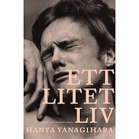 Hanya Yanagihara Ett litet liv (bok, storpocket)