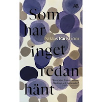 Niklas Rådström Som har inget redan hänt (pocket)