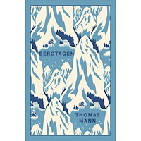 Thomas Mann Bergtagen (bok, storpocket)