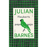 Julian Barnes Flauberts papegoja (bok, flexband)
