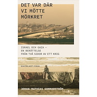 Johan-Mathias Sommarström Det var där vi mötte mörkret (inbunden)