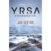 Yrsa Sigurdardottir Jag ser dig (inbunden)