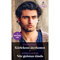 Annie Claydon Kärlekens återkomst ; När gnistan tänds (häftad)