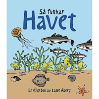 Lasse Åberg Så funkar havet (inbunden)