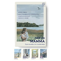 Ingvild H. Rishøi Mer än mamma - fyra noveller om moderskap
