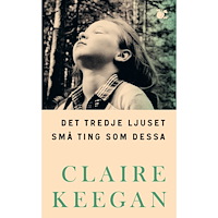 Wahlström & Widstrand Det tredje ljuset ; Små ting som dessa (pocket)