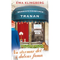 Ewa Klingberg Nu stormar det i dalens famn (pocket)