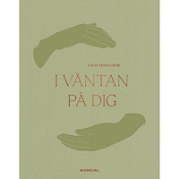 Nicole Falciani I väntan på dig : graviddagbok (bok, kartonnage)