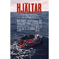 Nils Bergeå Hjältar - Otroliga historier ur verkliga livet (inbunden)