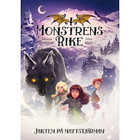 Johanna Strömqvist Jakten på Nattstjärnan (bok, kartonnage)