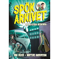 Dan Höjer Den mystiska besökaren (bok, kartonnage)