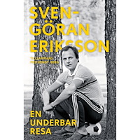 Bengt Berg En underbar resa (inbunden)