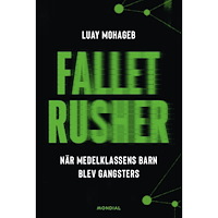 Luay Mohageb Fallet Rusher : när medelklassens barn blev gangsters (inbunden)