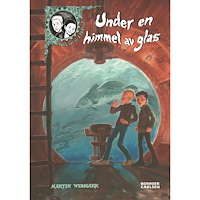 Bonnier Carlsen Under en himmel av glas (bok, kartonnage)