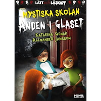 Katarina Genar Anden i glaset (inbunden)