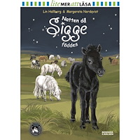 Lin Hallberg Natten då Sigge föddes (inbunden)