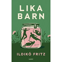 Ildikó Fritz Lika barn (inbunden)