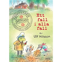 Ulf Nilsson Ett fall i alla fall (inbunden)