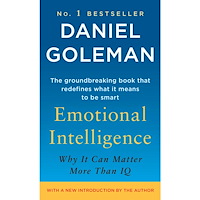 Daniel Goleman Emotional intelligence (pocket, eng)