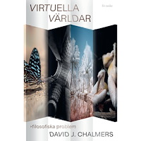 David J. Chalmers Virtuella världar : filosofiska problem (inbunden)