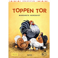 Margareta Nordqvist Toppen Tor (inbunden)