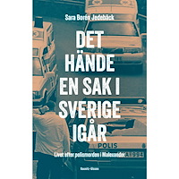 Sara Borén Jedebäck Det hände en sak i Sverige i går (inbunden)