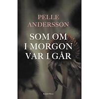 Pelle Andersson Som om i morgon var i går (inbunden)
