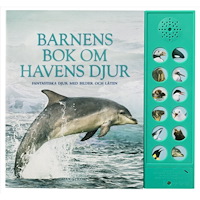 Andrea Pinnington Barnens bok om havens djur : fantastiska djur med bilder och läten (bok, board book)