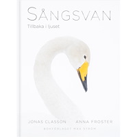 Anna Froster Sångsvan : Tillbaka i ljuset (inbunden)