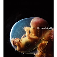 Lennart Nilsson Ett barn blir till (bok, kartonnage)