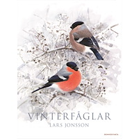 Lars Jonsson Vinterfåglar (inbunden)