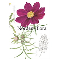 Bo Mossberg Nordens flora (inbunden)