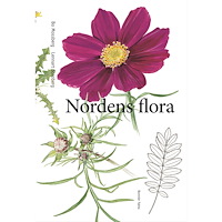 Bo Mossberg Nordens flora (inbunden)