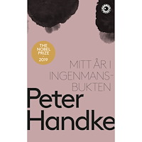 Peter Handke Mitt år i Ingenmansbukten : en saga från de nya tiderna (pocket)