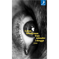 Lukas Moodysson Tolv månader i skugga (pocket)