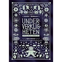 Rasmus Åkerblom Underverkligheten : upptäck hur allt hänger ihop (inbunden)