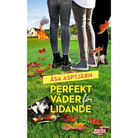 Åsa Asptjärn Perfekt väder för lidande (bok, danskt band)