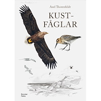 Axel Thorenfeldt Kustfåglar (inbunden)