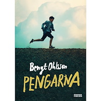 Bengt Ohlsson Pengarna (bok, kartonnage)