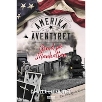 Camilla Lagerqvist Gömd på Manhattan (bok, kartonnage)